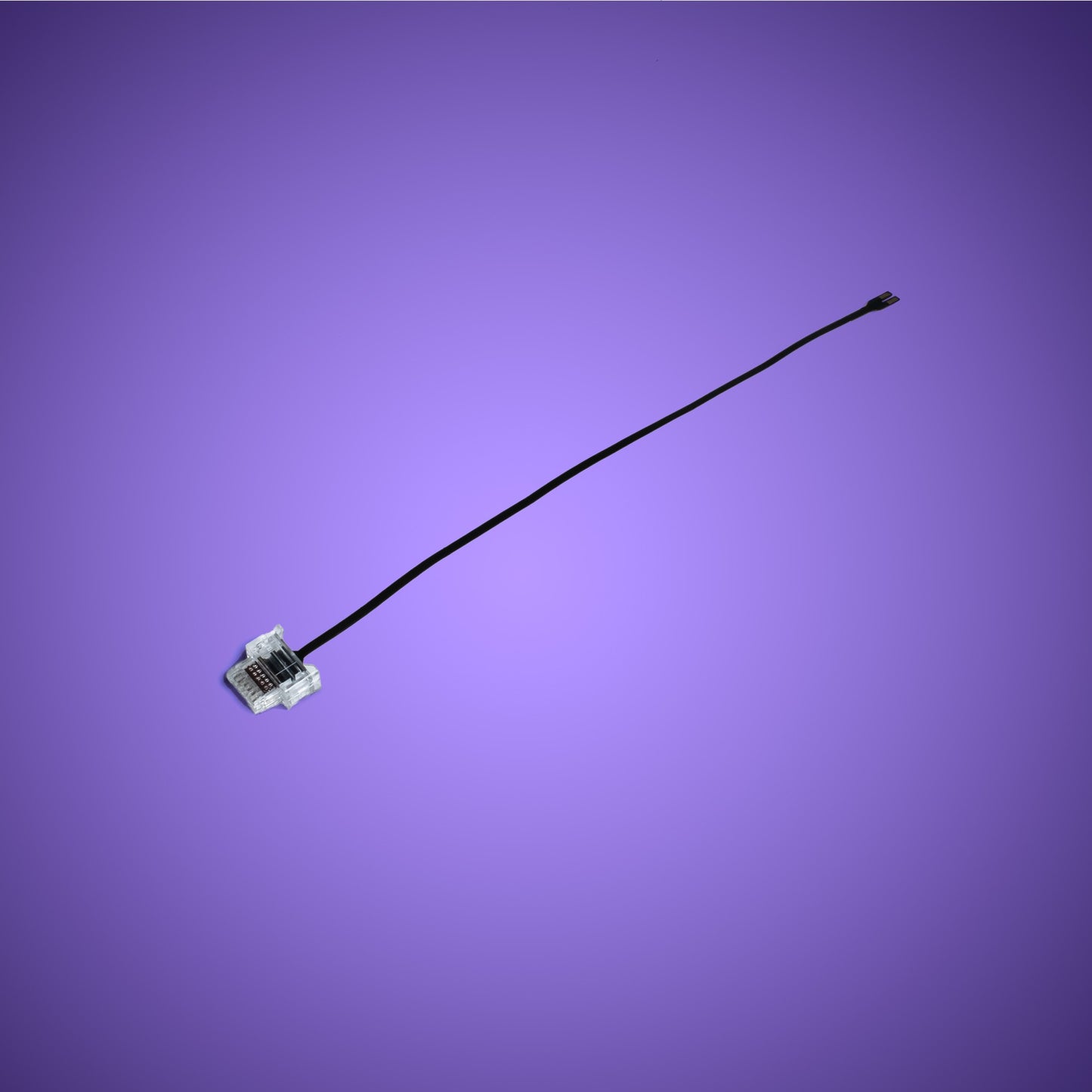 Powered Up Belt - 15cm