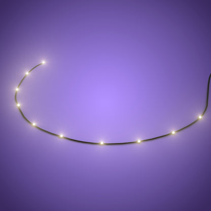 Astro Light String 10 LEDs Warm White