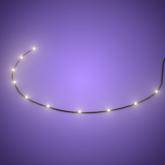 Astro Light String 10 LEDs Warm White