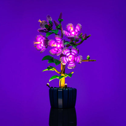 Light Kit for LEGO® Botanicals Hibiscus #10372