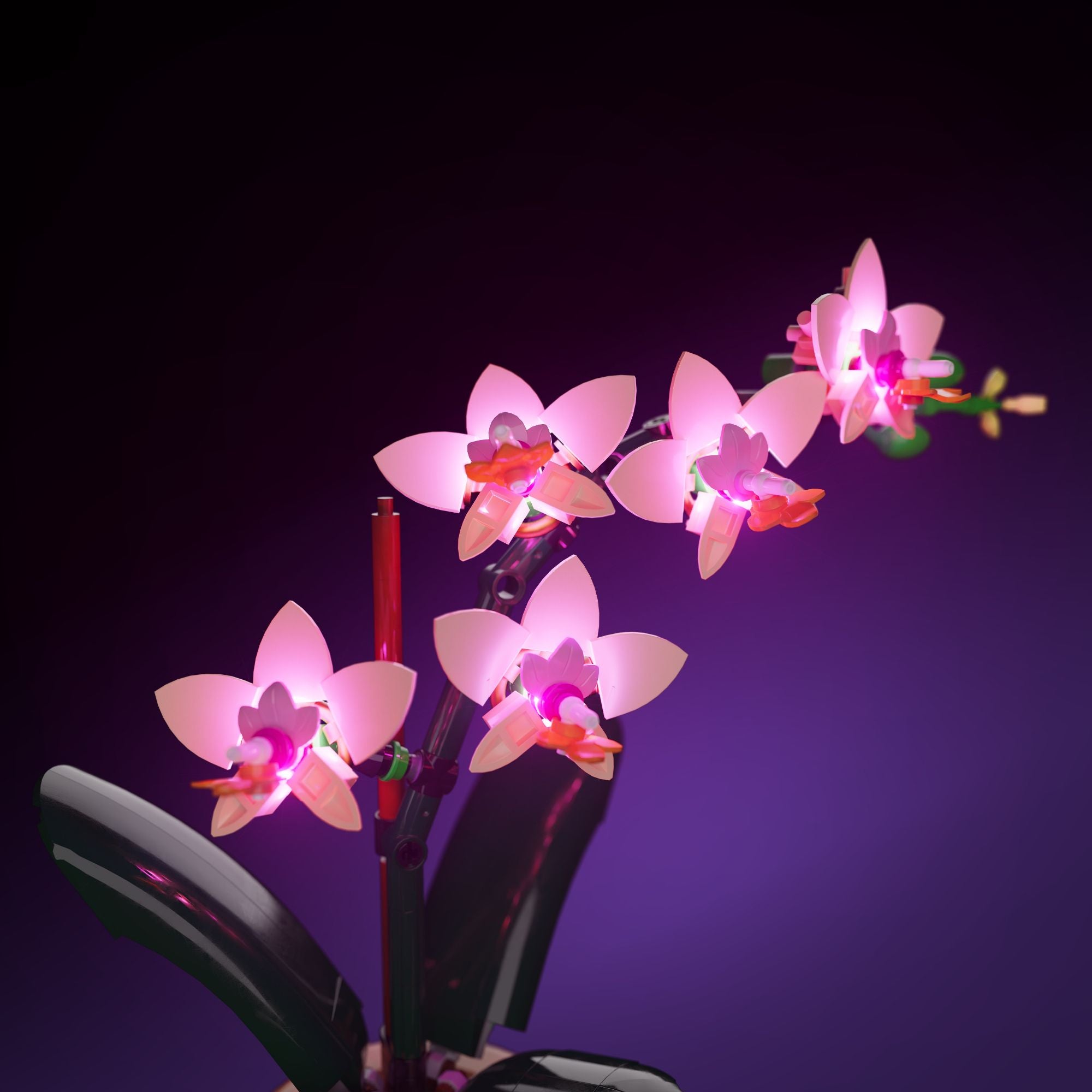 LMB 2.0 Light Kit for LEGO Mini Orchid #10343 | Light My Bricks – CA