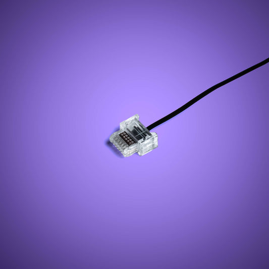 Powered Up Belt - 15cm