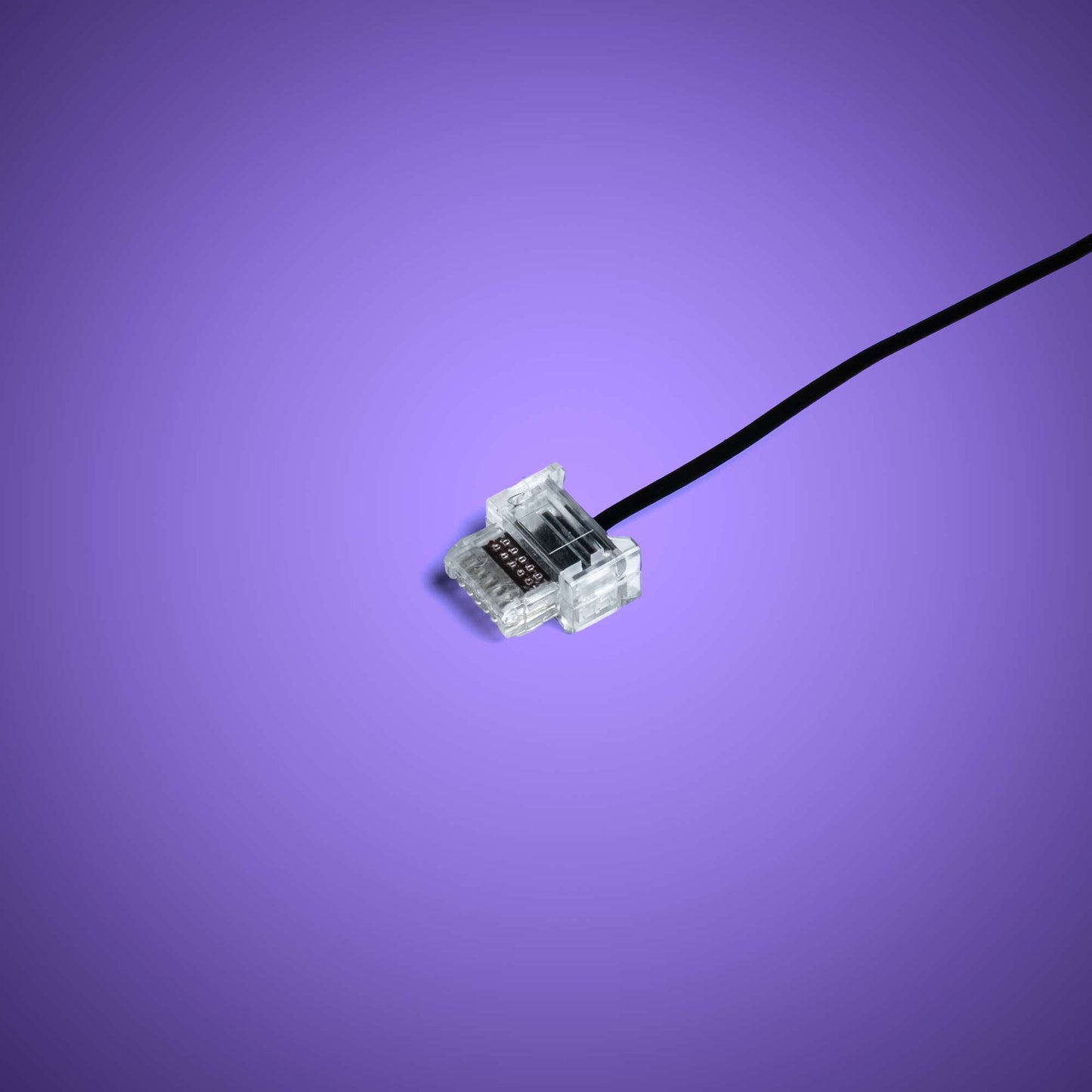 Powered Up Belt - 15cm