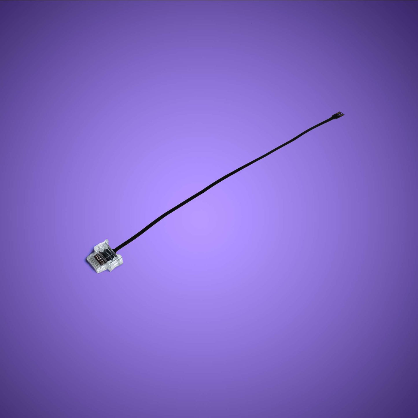 Powered Up Belt - 15cm