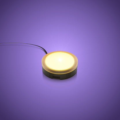 Solar Light - Warm White 30cm (2 Pack)