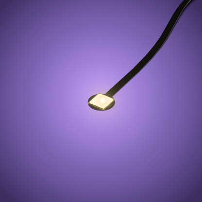 Astro Light Large Fork End - Warm White 30cm (2 Pack)